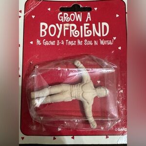 Grow a Boyfriend Novelty Toy